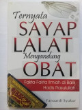 Ternyata Sayap Lalat Mengandung Obat