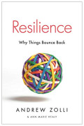 Resilience : Why things bounce back