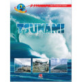 Tsunami